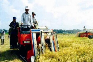  Hỗ trợ nông dân giảm tổn thất sau thu hoạch